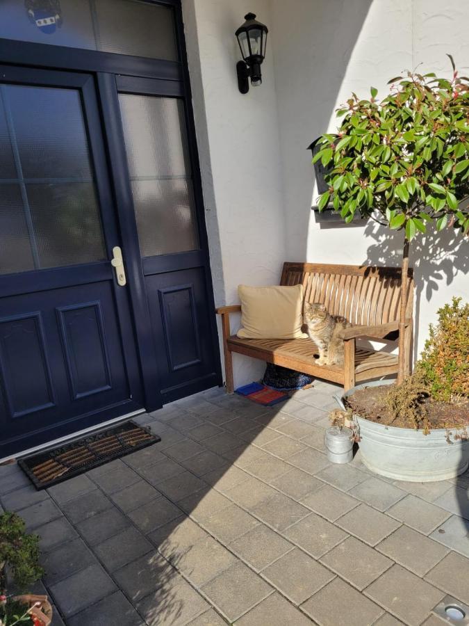 Ferienappartment Mit Schlafzimmer Farschweiler ภายนอก รูปภาพ